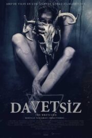 Davetsiz