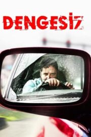 Dengesiz